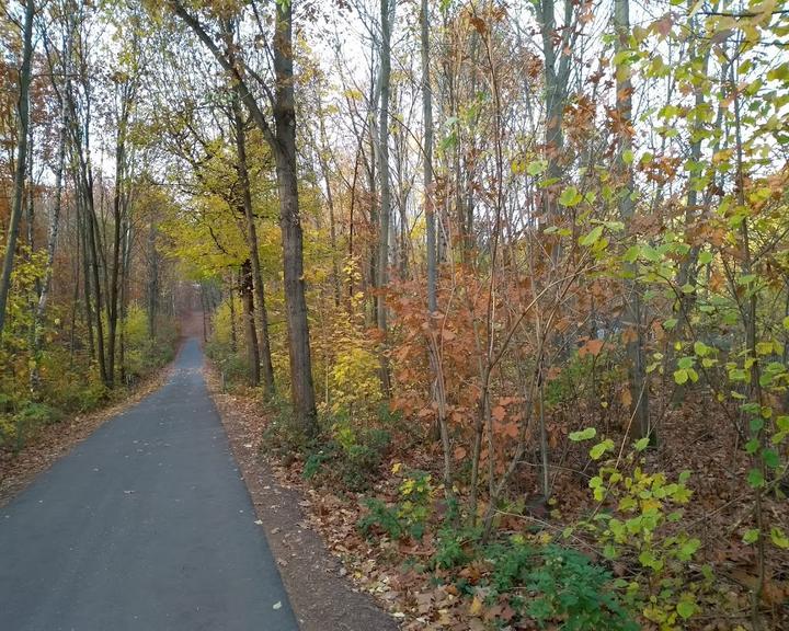 Buhlauer Waldgarten